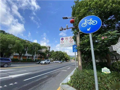 司機(jī)注意 西樵這個(gè)路段有新交通設(shè)施,對(duì)違停車輛進(jìn)行抓拍