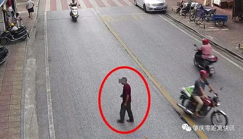 肇慶行人亂穿馬路遭曝光，道路設施問題引發(fā)關注