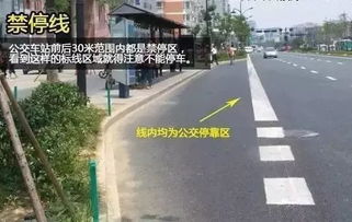 揚州車主注意 亂停車不僅罰款，這些行為12分很快扣光